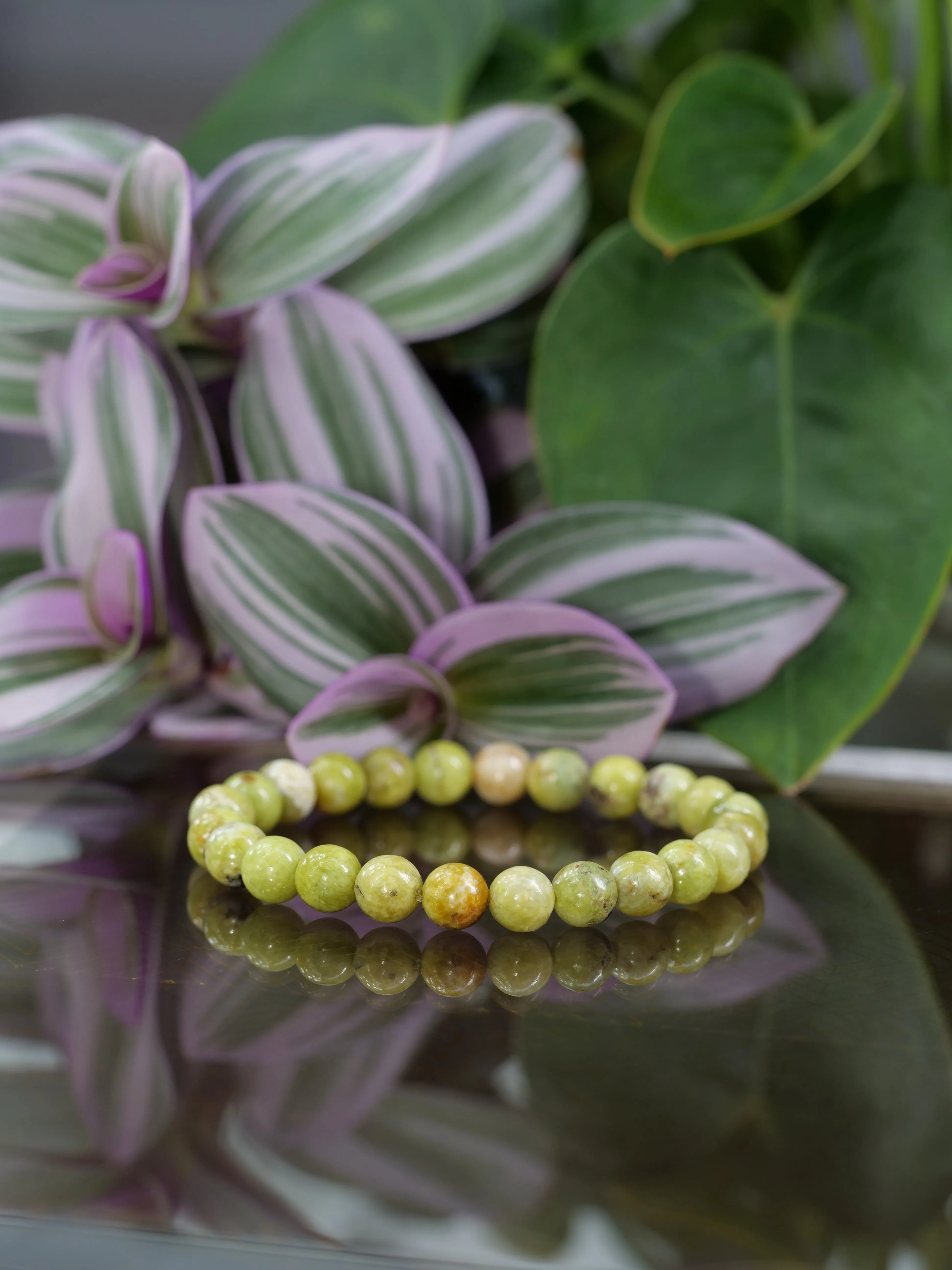 Green Opal 8mm Beaded Natural Gemstone Elastic Bracelet, Genuine Top Grade Gift Jewelry, Men Women Fashion Crystal Energy Jewellery