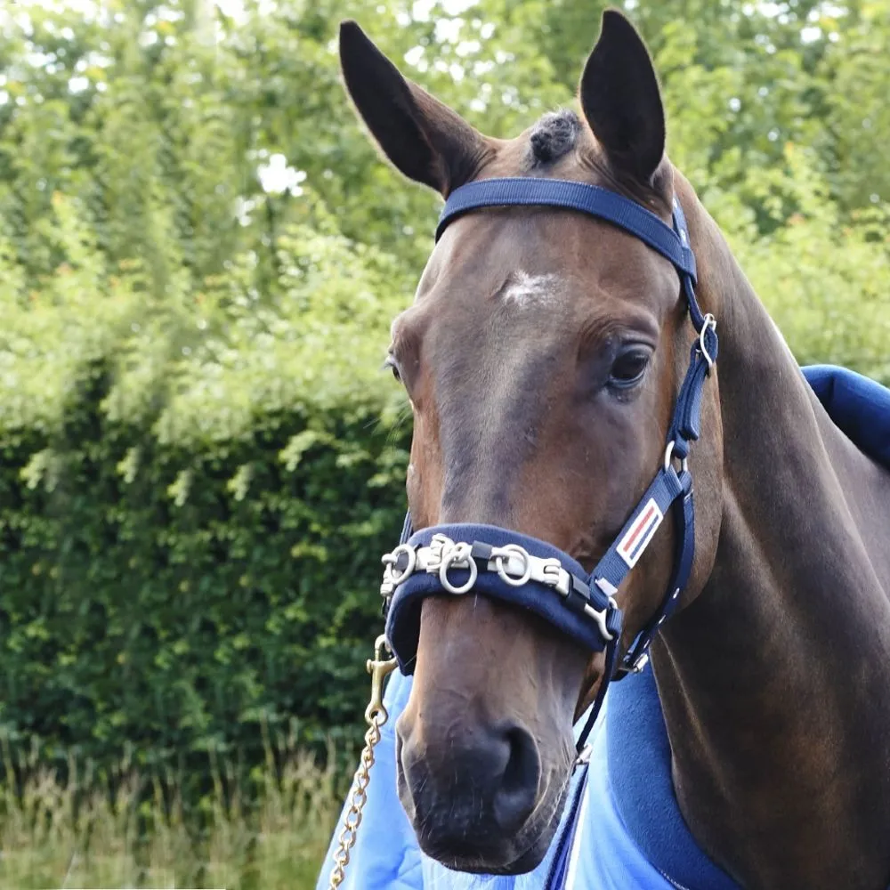 John Whitaker Lunge Cavesson
