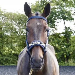 John Whitaker Lunge Cavesson