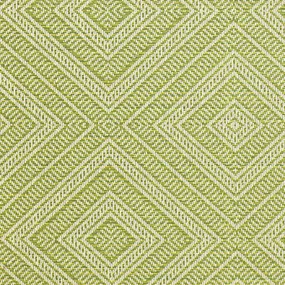 Schumacher Tortola Indoor/Outdoor Kiwi Fabric