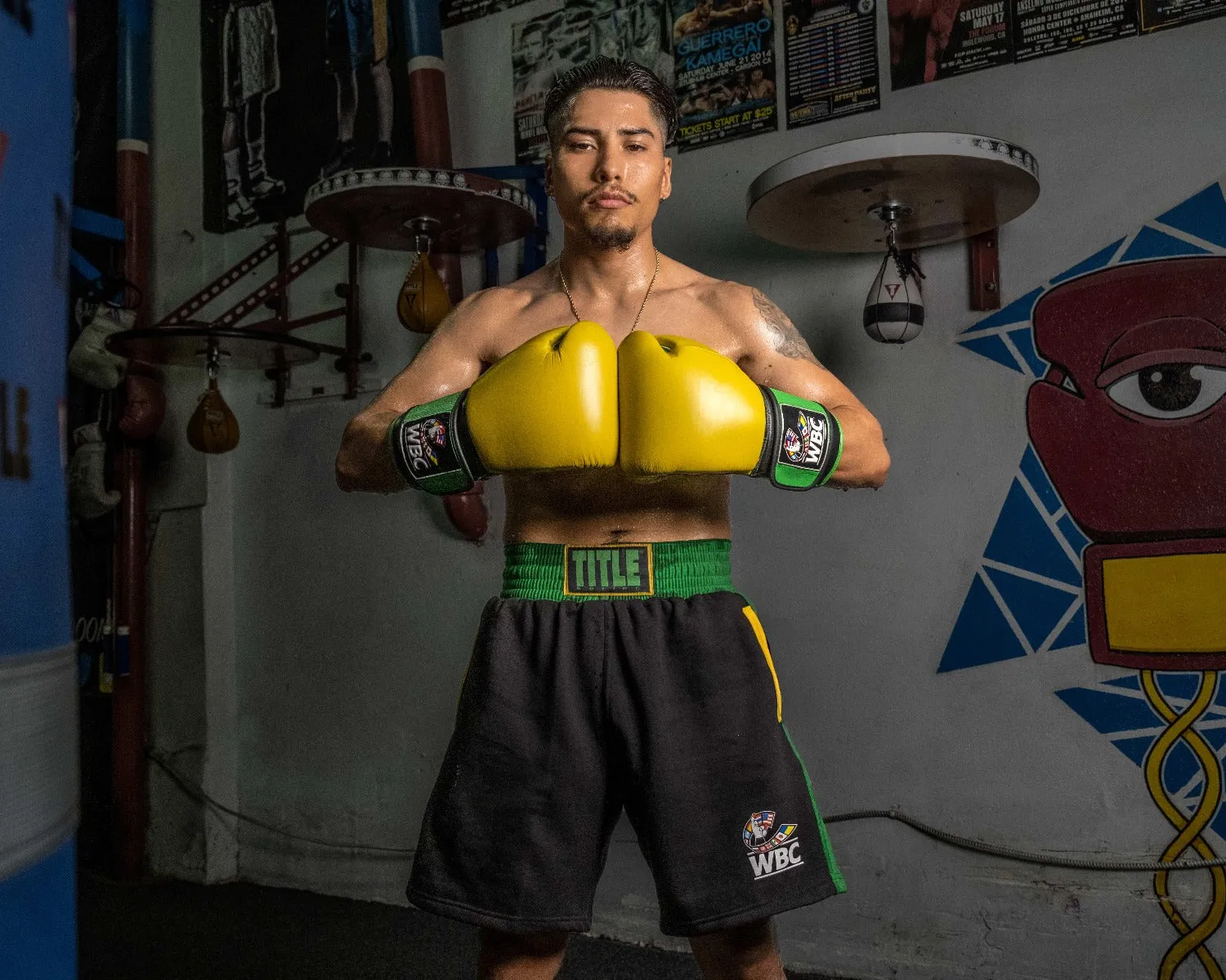 WBC by TITLE Boxing Jose Sulaiman Training Gloves