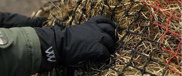 Woof Wear Winter Glove Black