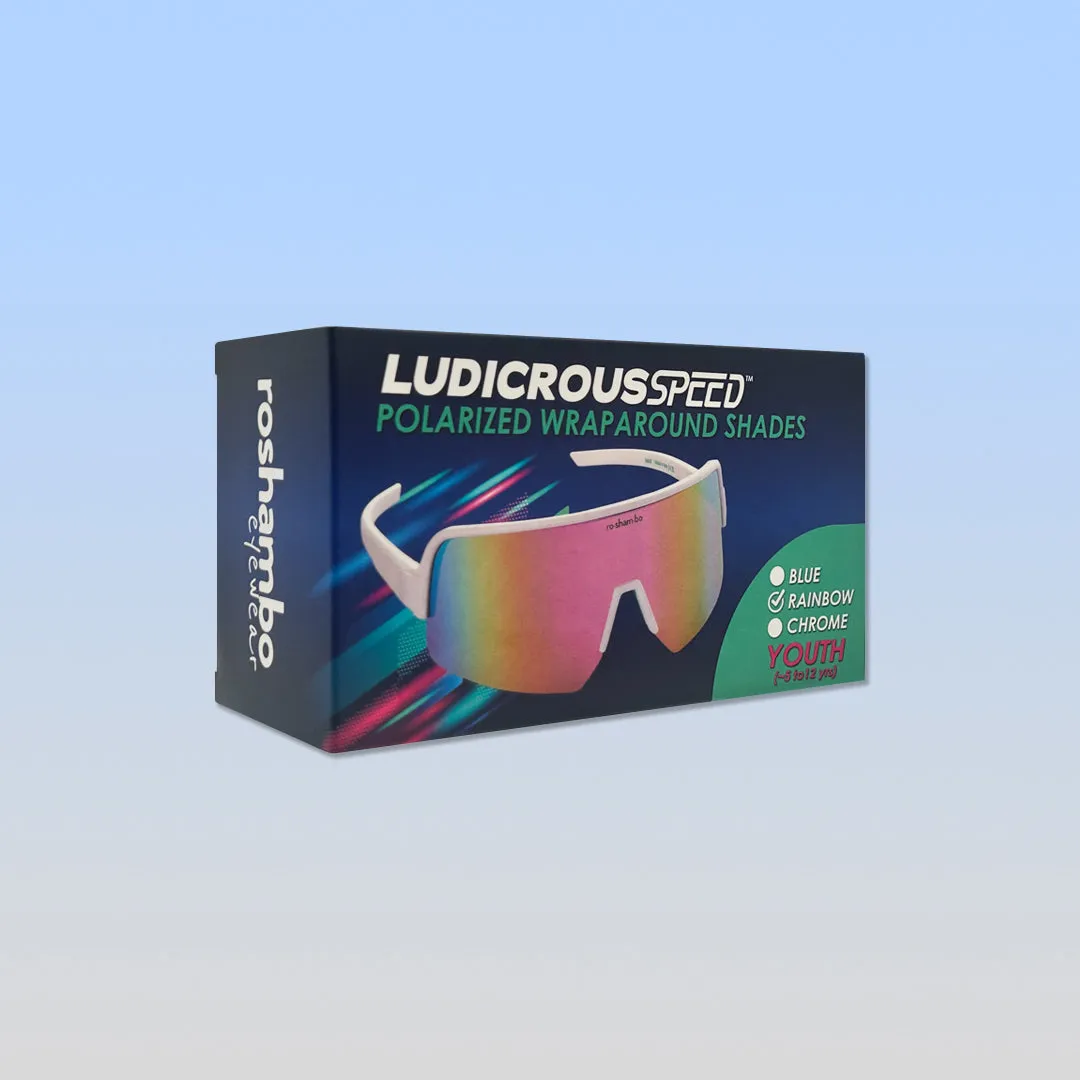 Wraparound Sunglasses Starter Kit | Ludicrous Speed
