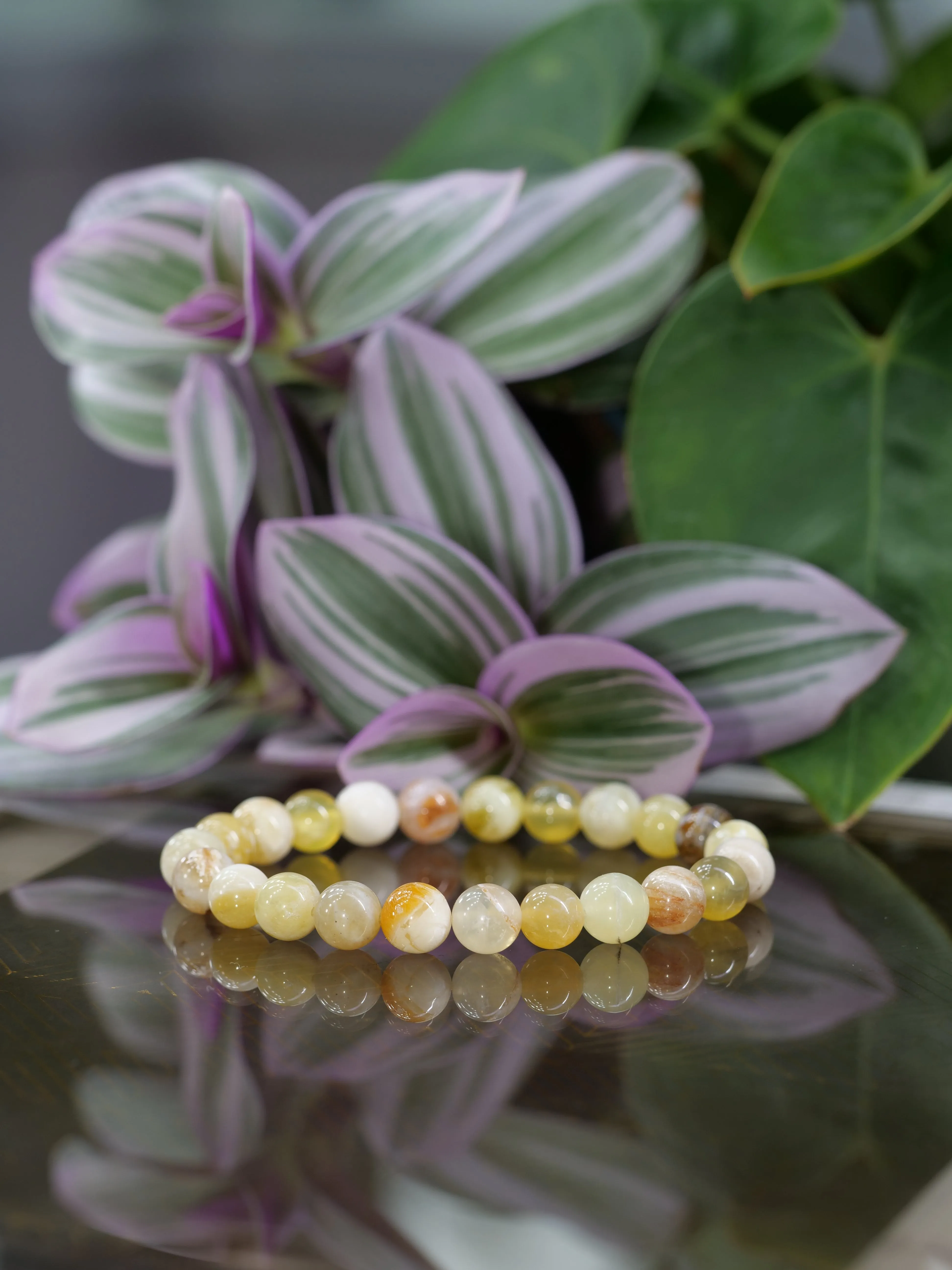 Yellow Opal 8mm Beaded Natural Gemstone Elastic Bracelet, Genuine Top Grade Gift Jewelry, Men Women Fashion Crystal Energy Jewellery